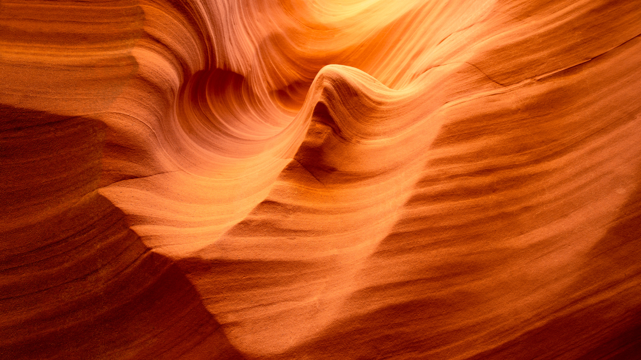 Regulatory Compliance for AI.