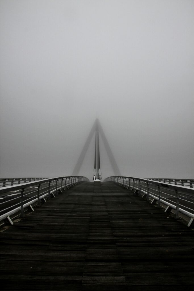 Clear visibility across usage analytics.