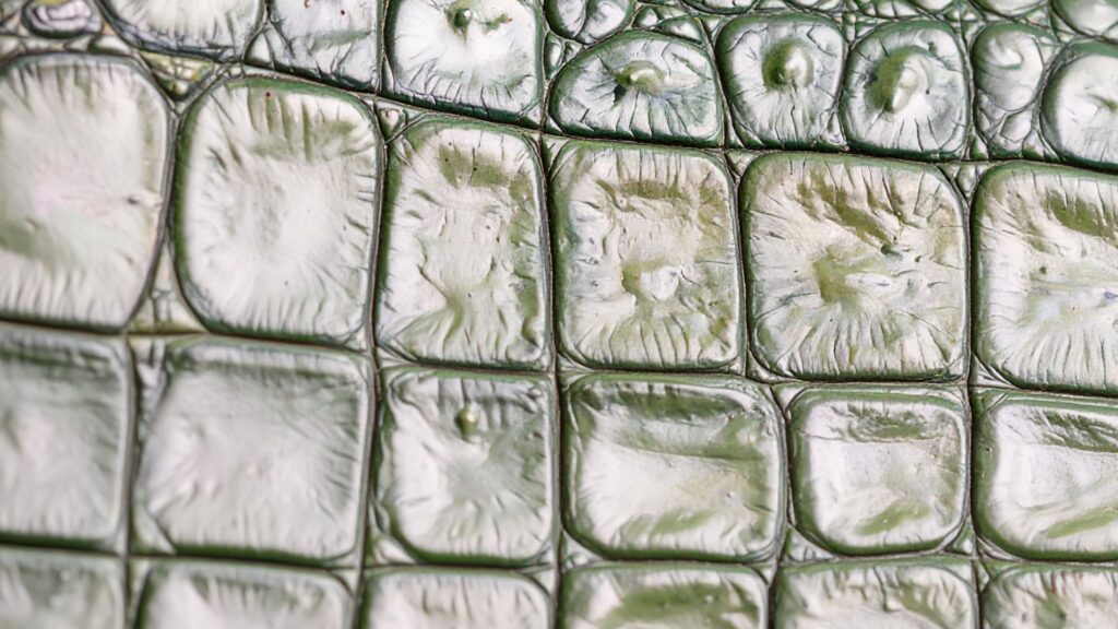 The Marketer’s Dilemma: Scaling Personalized Marketing Without Losing Your Brand.