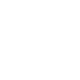 Accuracy Guardian Agents Icon