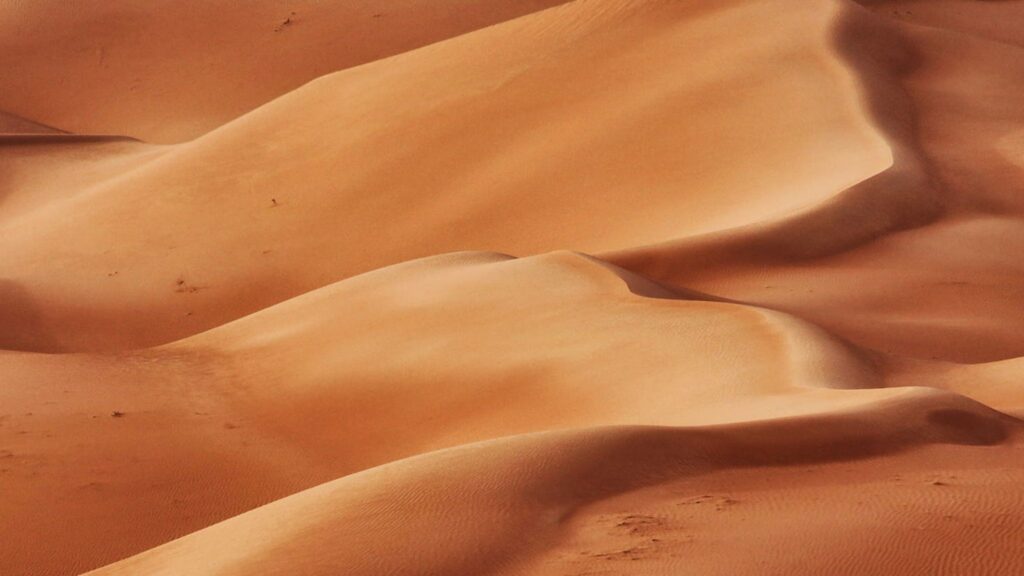 Smooth sand dunes stretch across the image, creating flowing patterns and gentle curves in shades of orange and tan under soft sunlight.