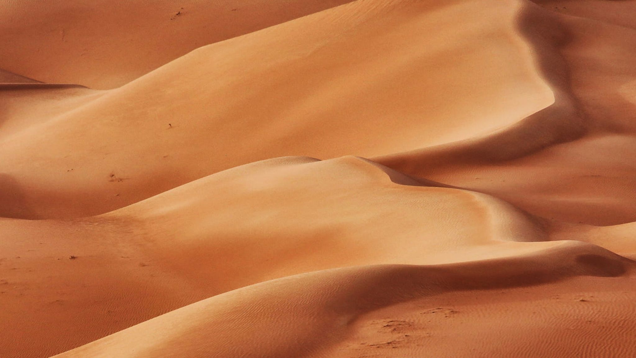 Smooth sand dunes stretch across the image, creating flowing patterns and gentle curves in shades of orange and tan under soft sunlight.