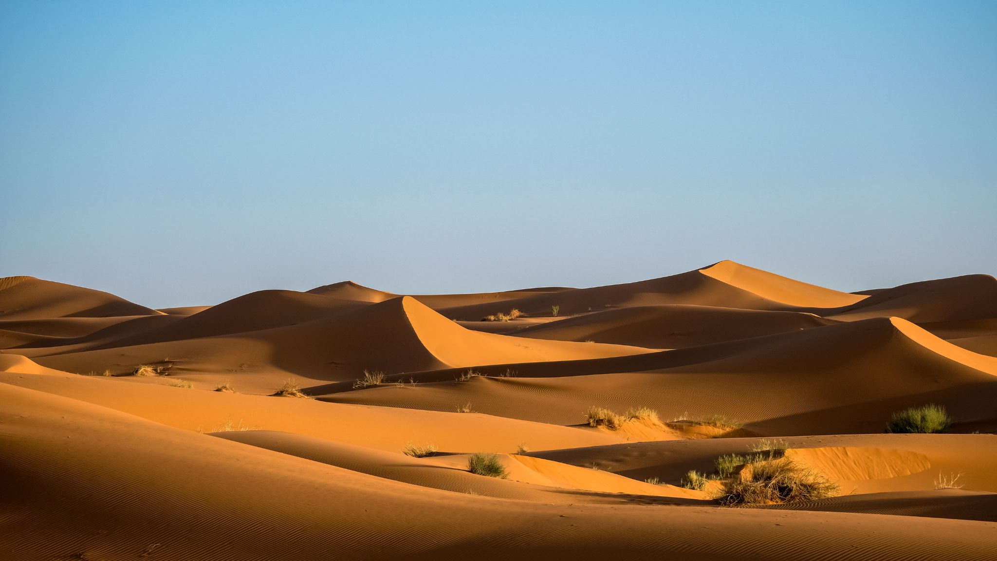 Golden sand dunes stretch across a desert landscape under a clear blue sky, with sparse patches of green vegetation scattered among the dunes showing the flattening of on-brand content.