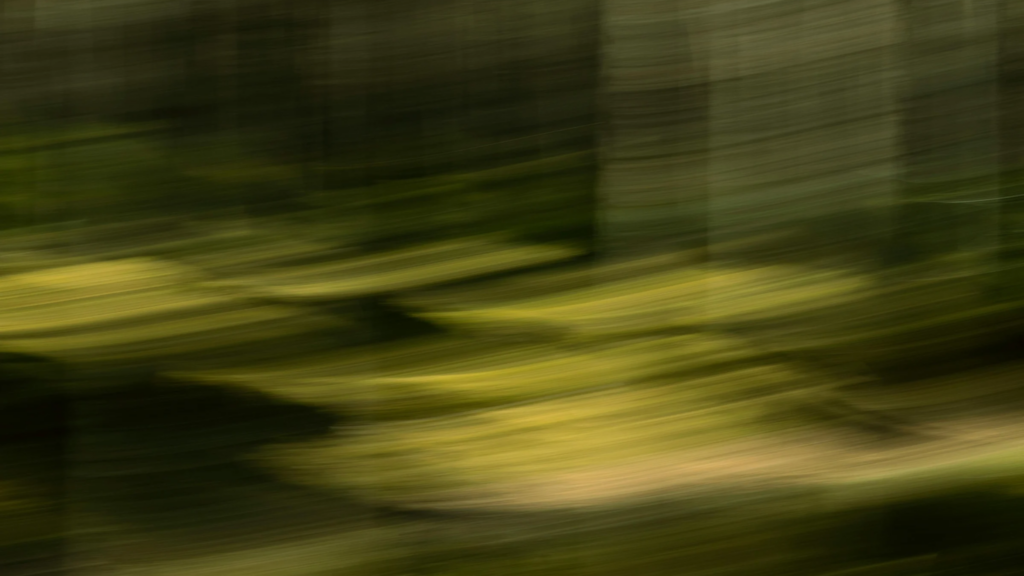 Motion-blurred forest landscape with streaks of green and brown.